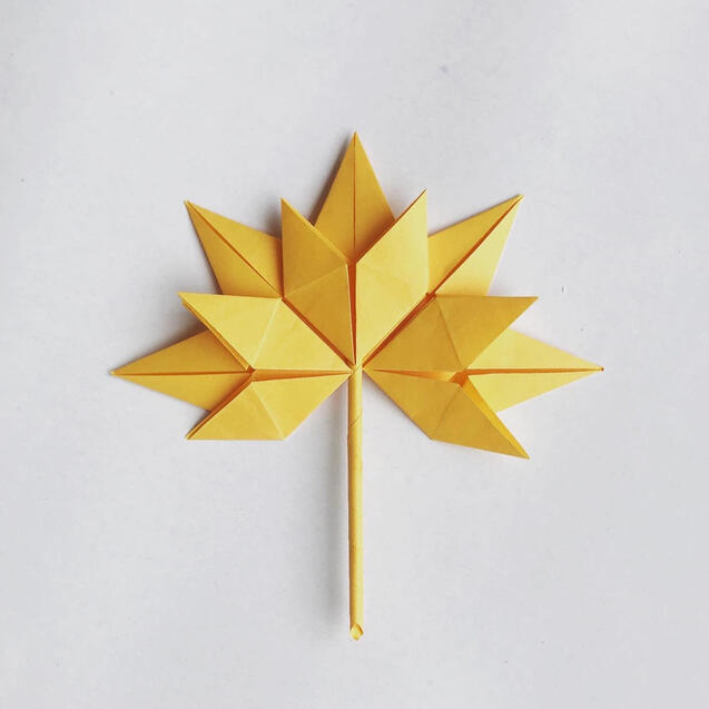 Maple leaf