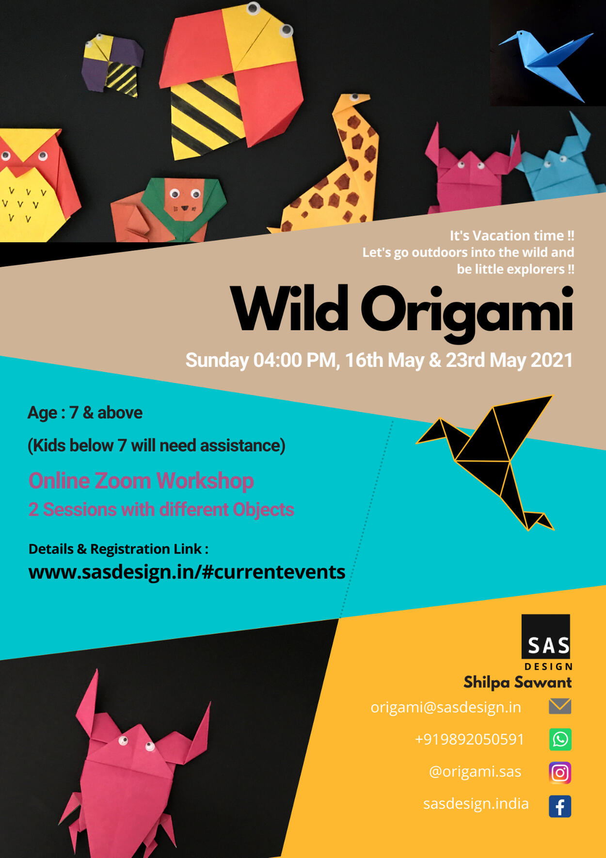 Wild Origami